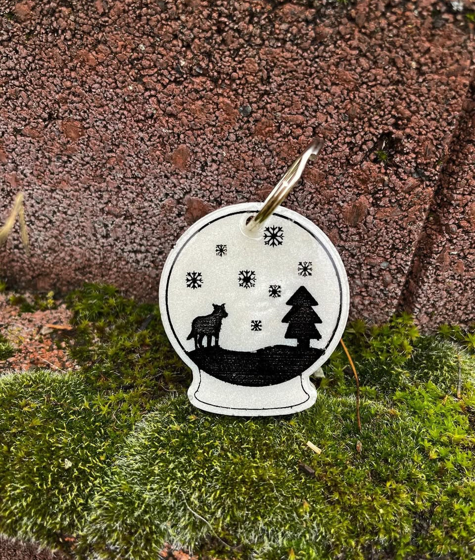 Snowglobe